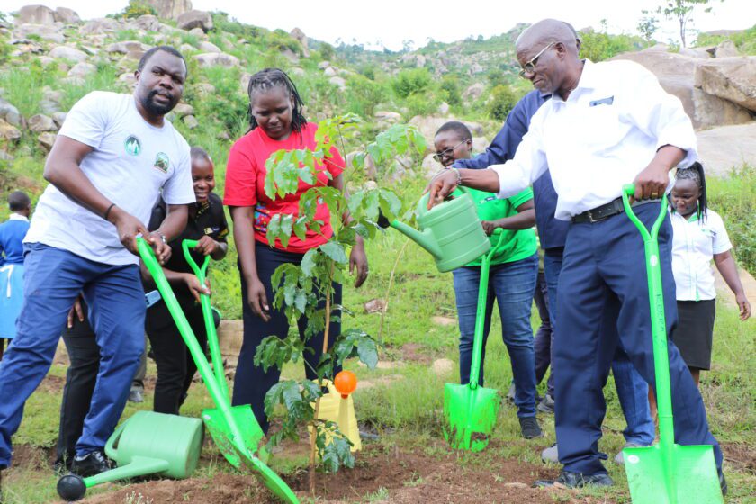 Maragoli Hills Community Forest Association